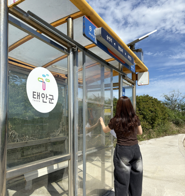 버스승강장 점검 (안면읍)