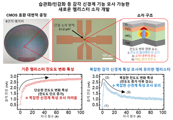 감각 신경계의 습관화 및 민감화 기능 모사가 가능한 새로운 멤리스터 소자의 실물 모습과 설명도