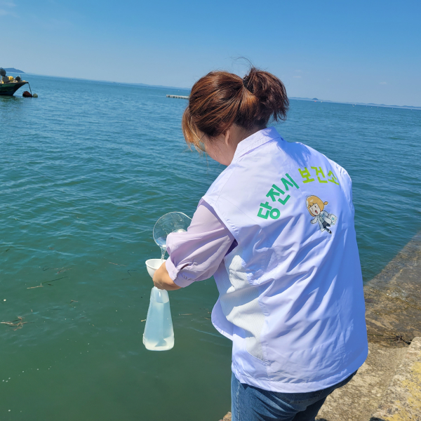 비브리오 채수 사진