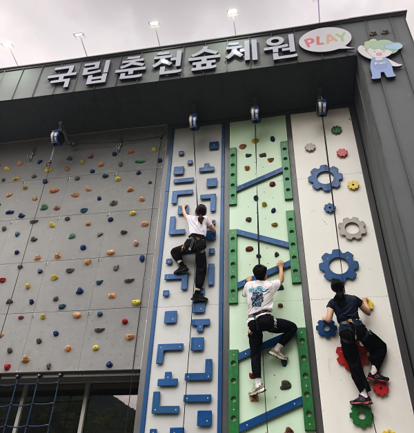 실외 스파이더 암벽장에서 신입직원들이 암벽등반을 연습하고 있다.