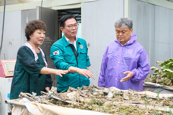 김석필 권한대행이 21일 수해 피해를 입은 풍세면 남관농장에 방문해 응급복구 상황을 점검 모습