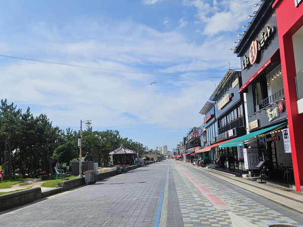 차 없는 거리 운영 모습