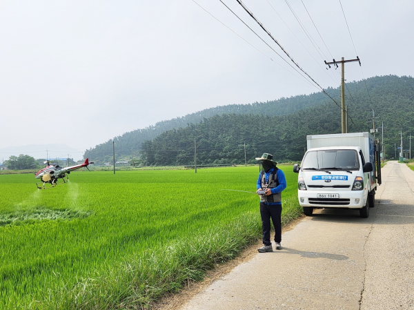 벼멸구 항공방제 모습.