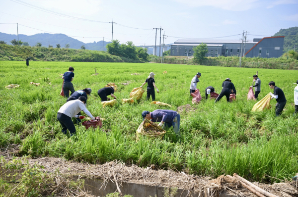 수해 복구 자원봉사 활동 진행 모습