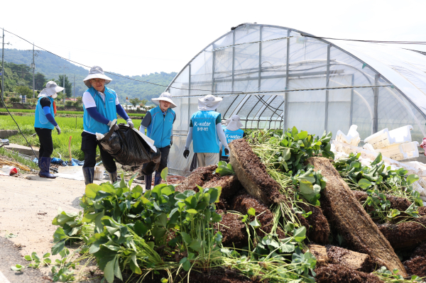 24일 한국수자원공사 물사랑나눔단이 충남 서산시 성연면 소재 지역 농가의 피해 복구를 지원하고 있다.