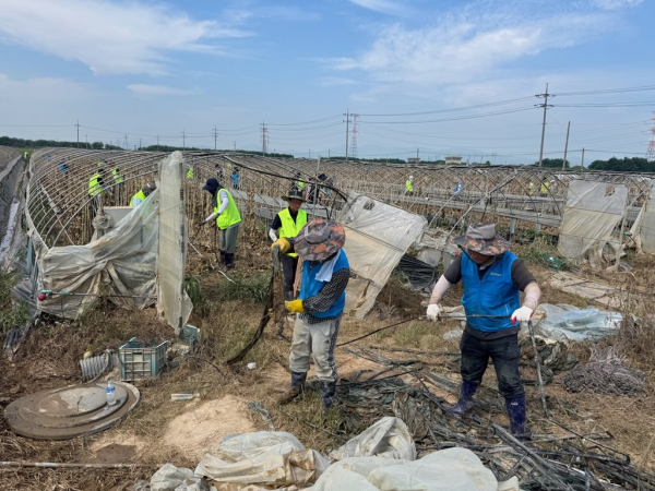 24일 충남 예산군 중예리와 홍성군 금마면 화양리 농촌마을을 찾아 수해복구 봉사 모습