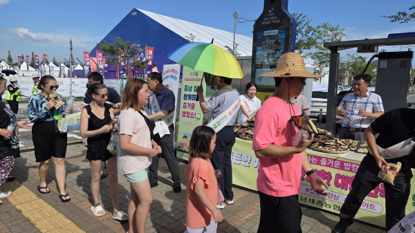 행사 관계자들이 보령머드축제장에서 방문객들에게 쌀을 나누어 주고 있다.