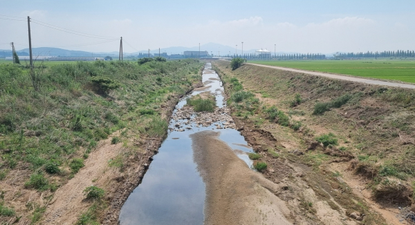 지난 1일 태안천 모습.