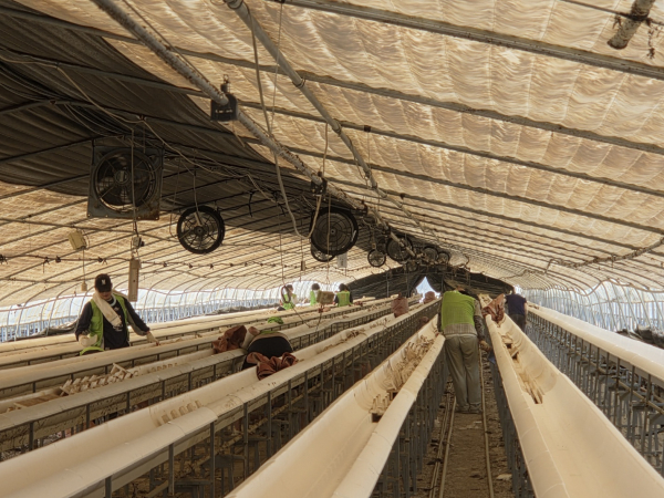 수해복구 지원 현장 모습