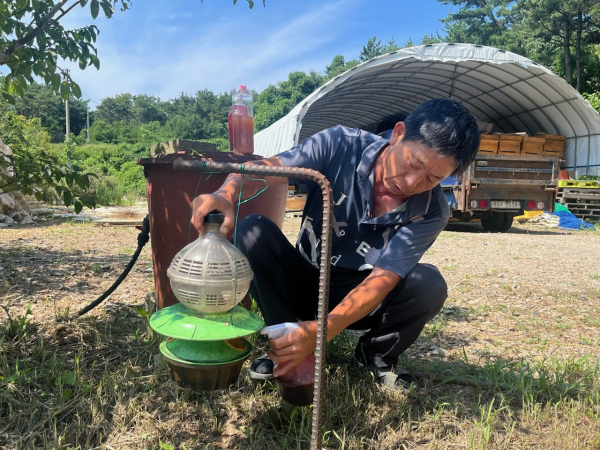양봉장 활용 사진