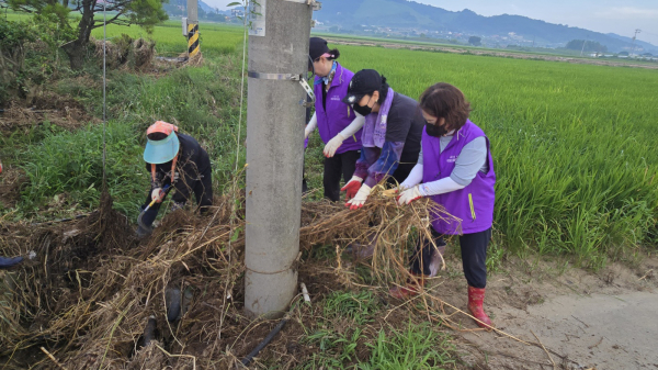 지난 7월 26일 서산시여성단체협의회 회원들이 인지면 수해 피해 현장에서 환경 정화 활동 모습
