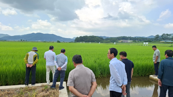 벼 직파협의회 현장 견학 모습