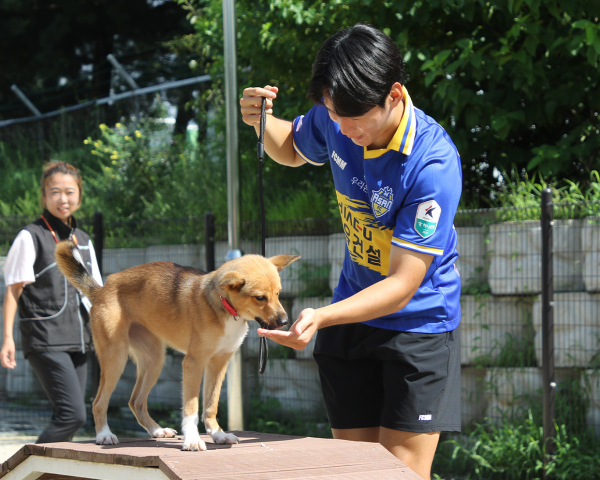 아산시동물복지지원센터를 방문해 유기동물 보호 캠페인 ‘블루포우(Blue Paw)’ 실시 모습