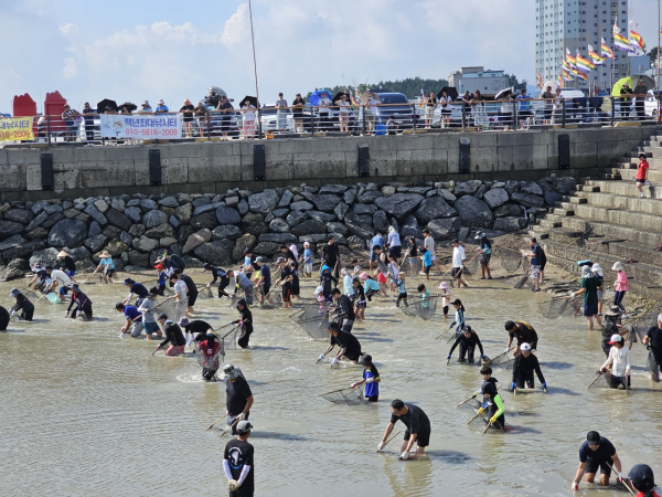 지난 23일부터 24일까지 열린 제19회 삼길포우럭축제 우럭 독살체험 모습