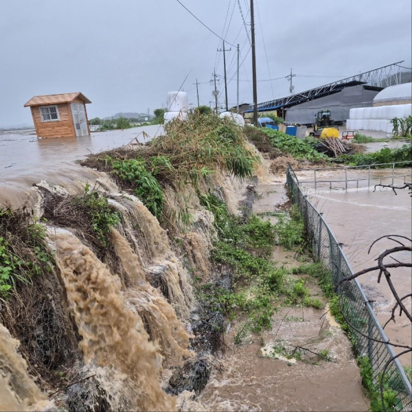 곡교천 제방에서 염성배수장으로 월류 모습