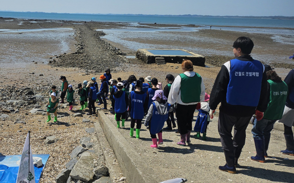 올해 4월 간월도 패류 유어장에서 진행된 천수만 생태관광 바지락 캐기 체험 진행 모습