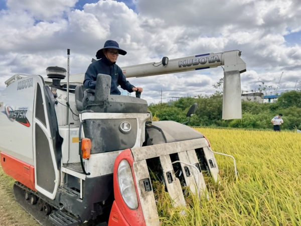 한국새농민 대전광역시회 소외계층 지원을 위한 벼수확 행사 진행 모습