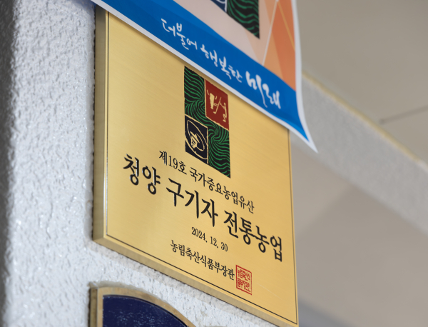 지난 2024년 12월 청양구기자 전통농업이 제19호 국가중요농업유산으로 선정된 기념 현판