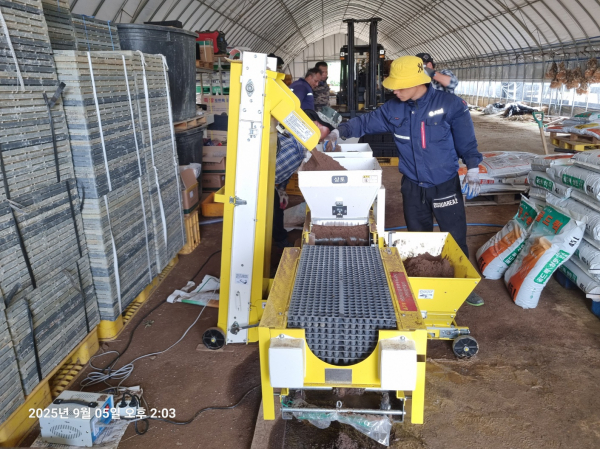 양파 파종기 활용 시연회