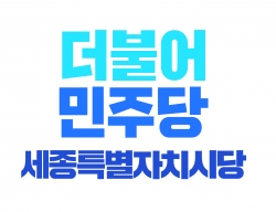 더불어민주당 세종시당 로고