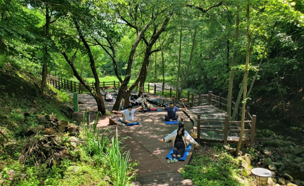 참여자들이 ‘숲에서의 첫 교감’ 태담 명상을 진행하고 있다.