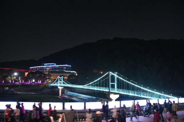 지난해 "대전효문화뿌리축제" 행사 야간 모습