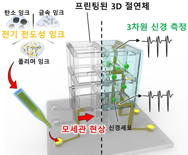 체외배양 3D 신경네트웍 모델용 맞춤형 세포배양 지지체-미세전극칩 일체형 플랫폼 개요도