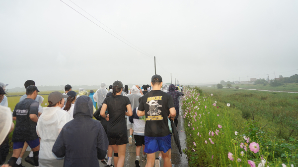 지난 28일 양대동 서산스포츠테마파크 일원에서 진행된 2025 코스모스 황금들녘 마라톤대회 모습