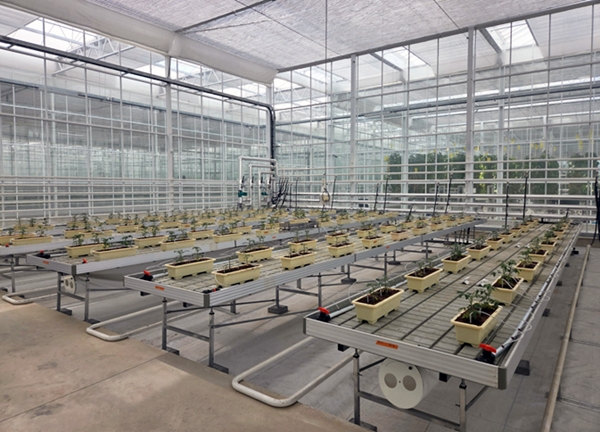 소형 DAC 설비 실증이 이뤄지고 있는 경상북도 상주 스마트팜혁신밸리 내에 위치한 에코프로에이치엔의 온실 모습