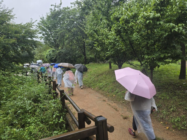 영주YMCA 한글 교실 참여자들이 숲해설가와 함께 숲길 탐방을 하고 있다.