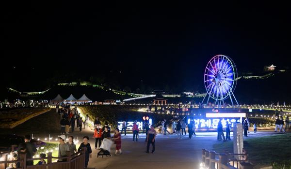 백제문화제 밤 풍경