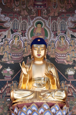 서산 개심사 목조아미타여래좌상