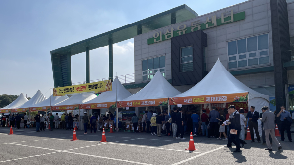 지난해 10월 11일부터 13일까지 진행된 서산6년근 인삼 직거래 행사