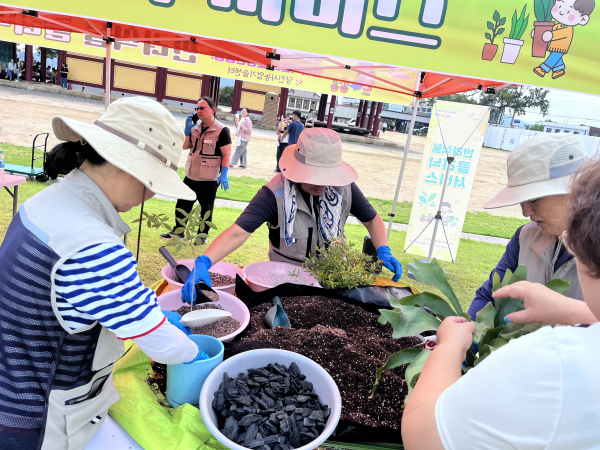 분갈이 서비스 모습