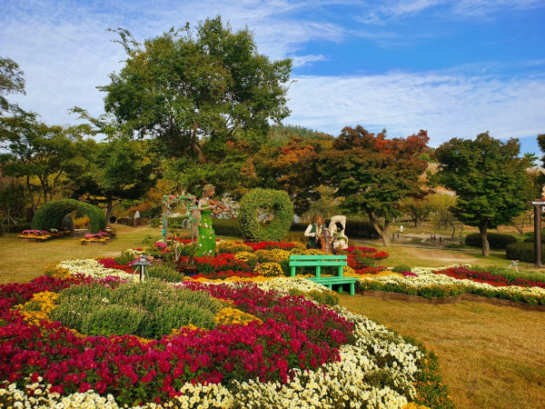가을 국화 전시회 모습