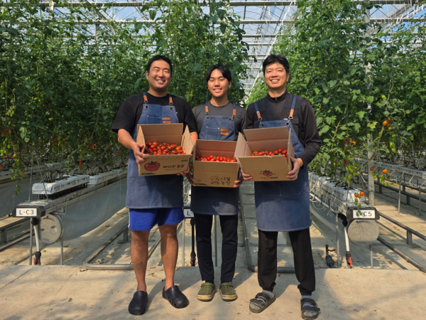 청년 농업인 스마트팜 방울토마토 수확 기념사진