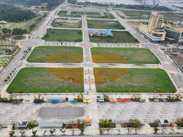 LH 세종본부 나성동 대규모 꽃밭 조성 모습