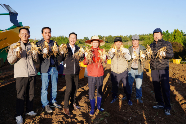 이완섭 서산시장이 22일 해미면 웅소성리 일원 농가를 방문해 인삼 수확 현장을 격려했다.