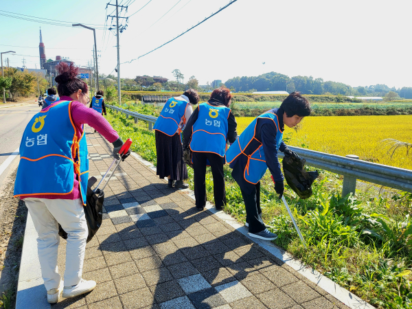 봉사자들이 환경정화활동을 하고 있다.