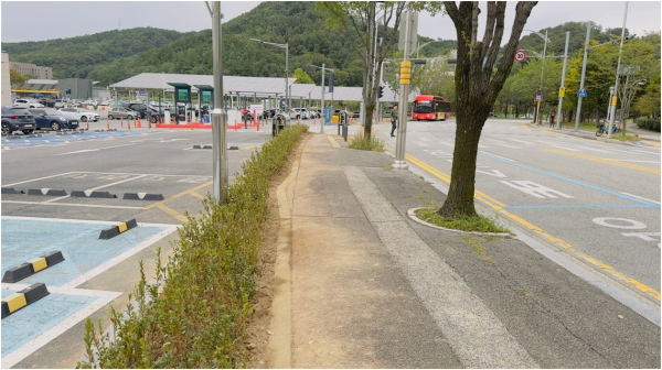 엑스포과학공원 휀스 철거 모습