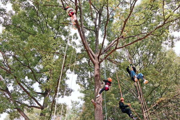 지난 25일 국립대전숲체원에서 진행된 ‘우리숲페스타’ 행사장에서 참가자들이 ‘트리클라이밍’ 프로그램을 즐기고 있다.