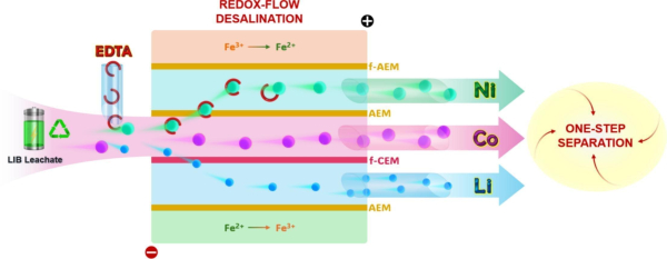 원스템 전기화학 분리시스템 모식도