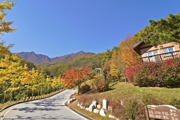 국립산림치유원, 단풍 전경