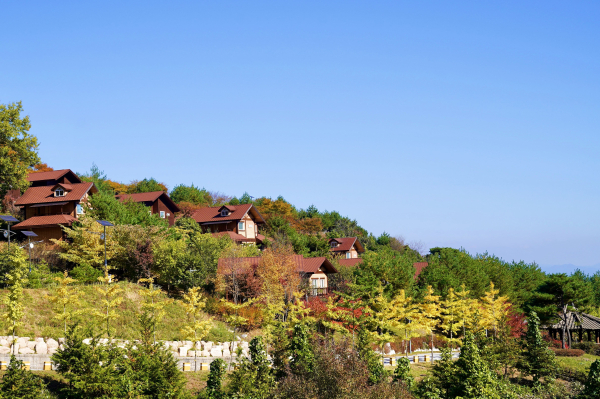 국립산림치유원 주치마을 전경.