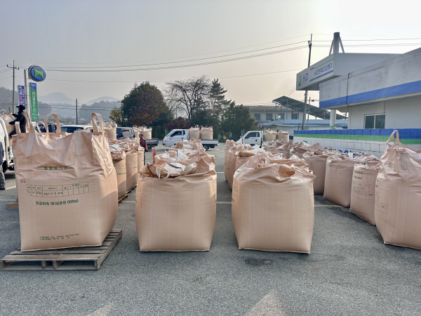2025년산 공공비축미곡 매입 현장 모습