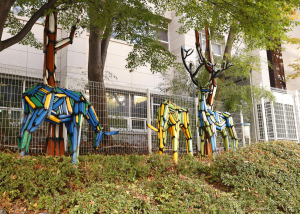 유성구청 뒤편 벽면과 양쪽 울타리 미술관 변신 모습