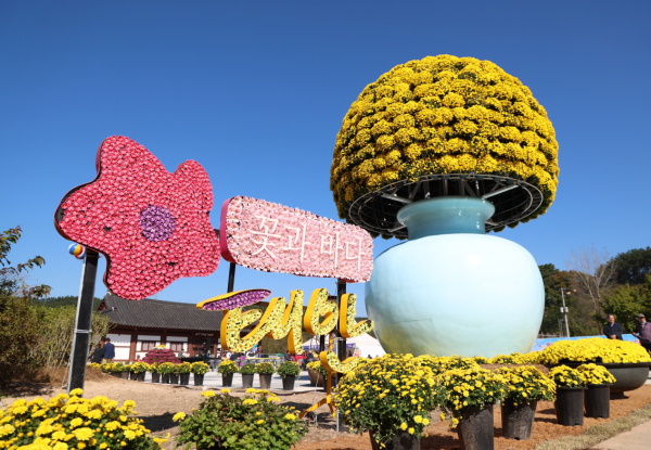 태안 국화축제 현장 모습