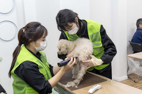 반려동물 미용 봉사단 리루 단원들이 법동종합사회복지관에서 반려동물 미용 봉사 진행 모습