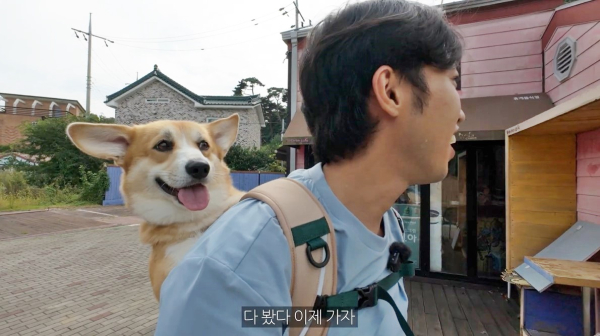 반려동물 동반여행 콘텐츠 공모전 대상 (박민원 씨 영상)
