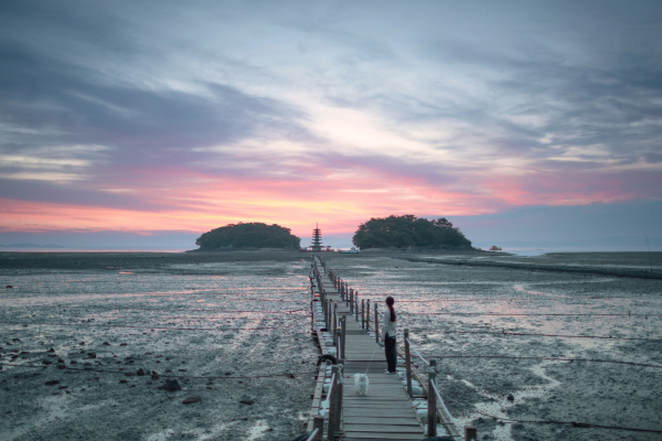 반려동물 동반여행 콘텐츠 공모전 최우수상 (정태식 씨 사진)